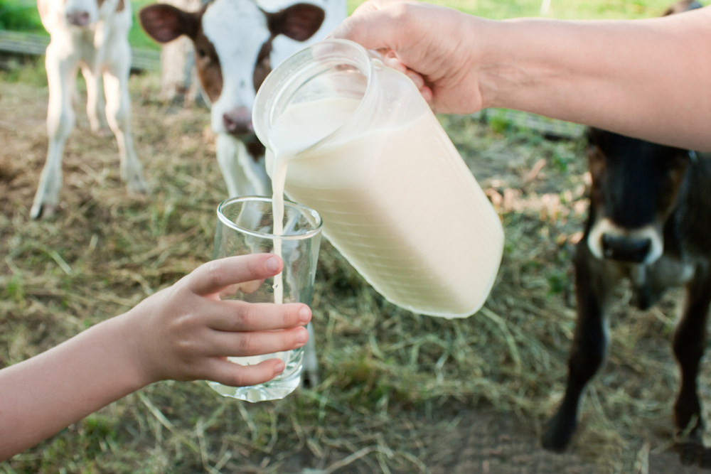 Bà bầu 3 tháng đầu nên kiêng sữa chưa tiệt trùng