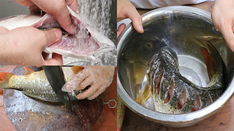 Cách sơ chế loại bỏ mùi tanh từ cá chép