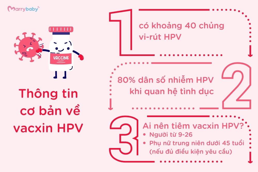 Thông tin về vacxin HPV và đối tượng nên tiêm HPV