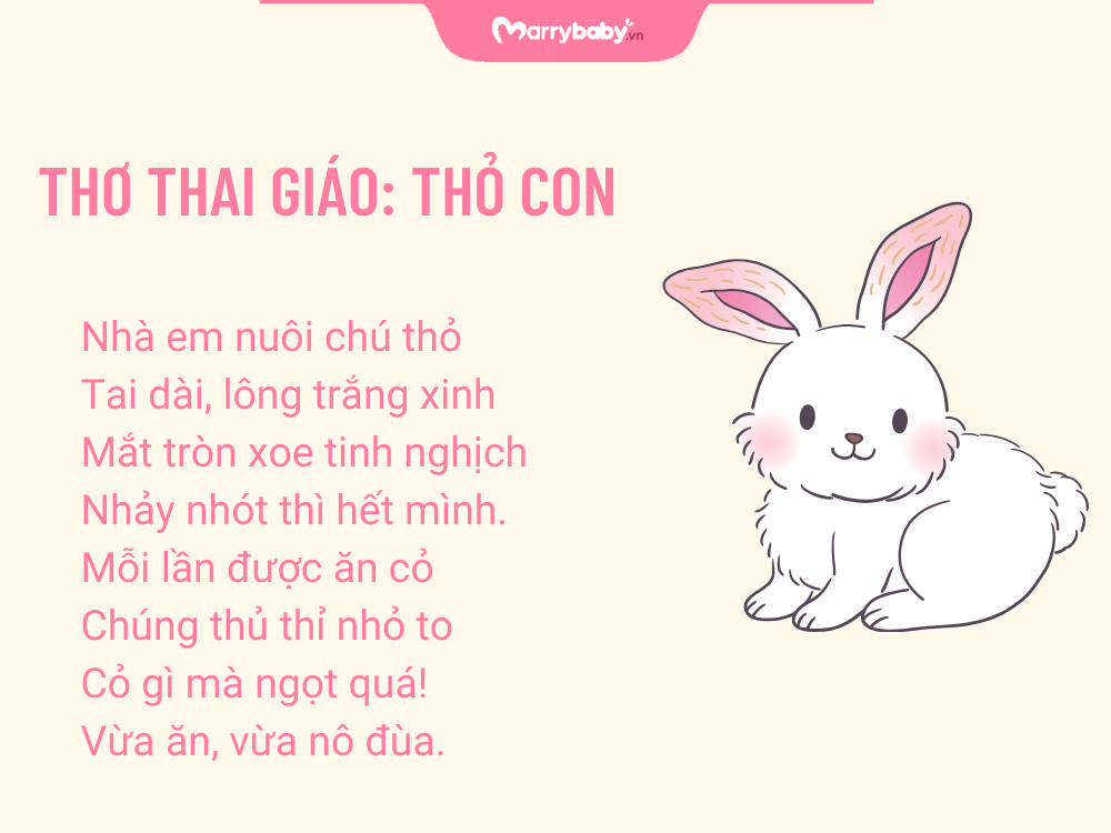 Hình ảnh thơ thai giáo: Thỏ con
