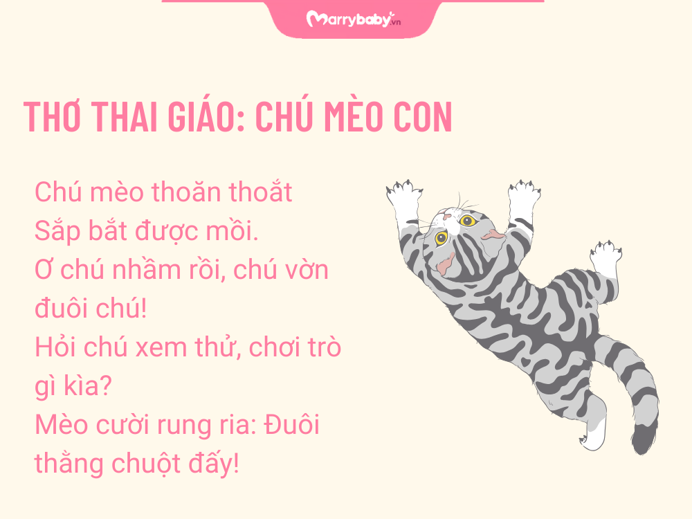 Hình ảnh thơ thai giáo: Chú mèo con