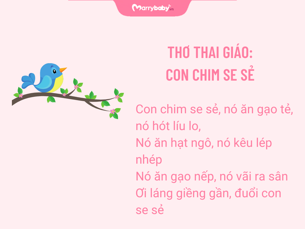 Đọc thơ cho thai nhi: Con chim se sẻ