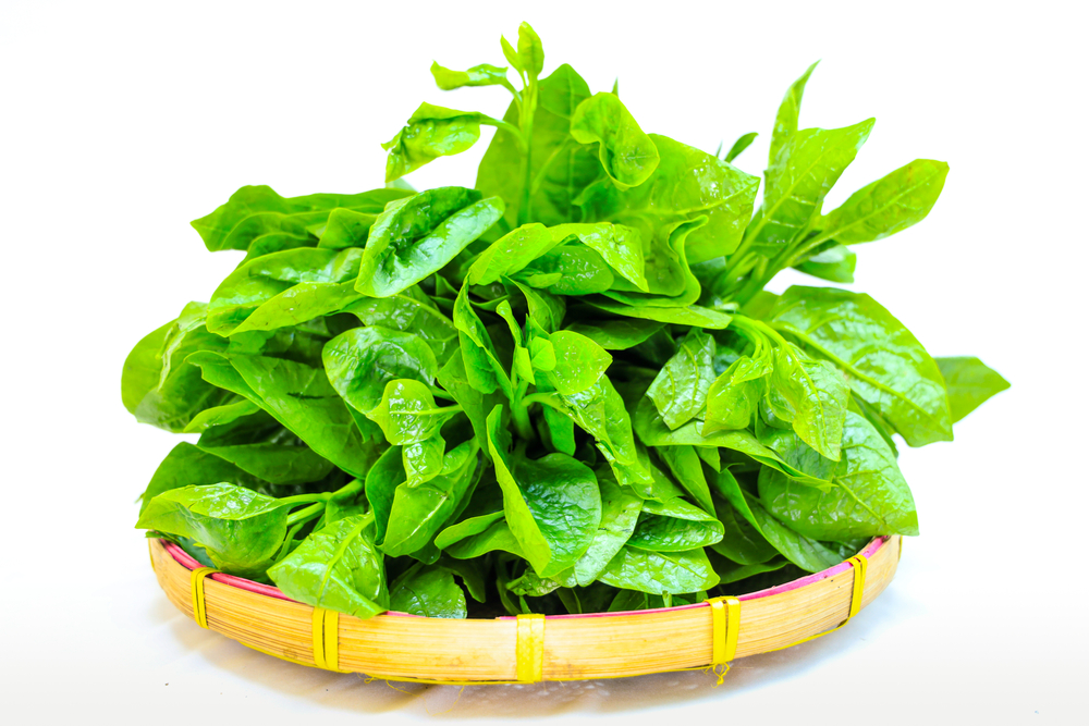 bầu ăn rau mồng tơi được không