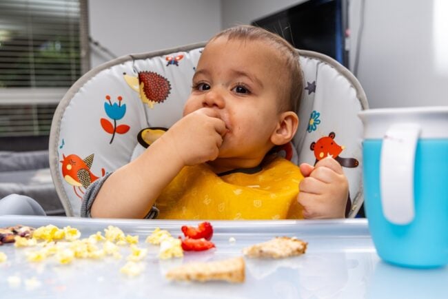 Bánh ăn dặm cho bé: Khi nào nên dùng và top 5 loại phổ biến