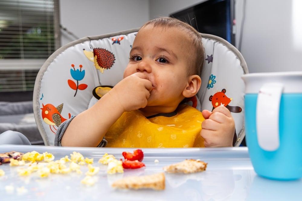 Bánh ăn dặm cho bé: Khi nào nên dùng và top 5 loại phổ biến