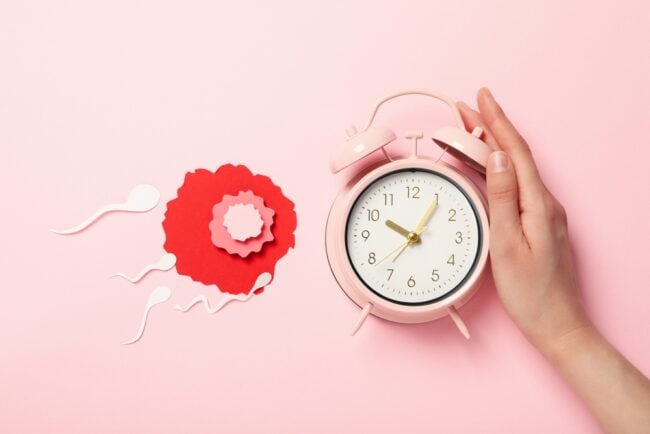 Cách tính ngày thụ thai giúp tăng khả năng mang thai nhanh nhất