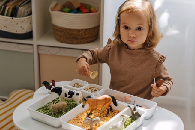 Dạy bé nhận biết các con vật để phát triển tư duy tốt