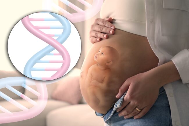 Xét nghiệm NIPT là gì? Thông về giá xét nghiệm NIPT bạn cần biết