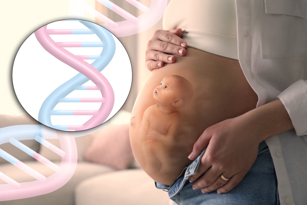 Xét nghiệm NIPT là gì? Thông về giá xét nghiệm NIPT bạn cần biết