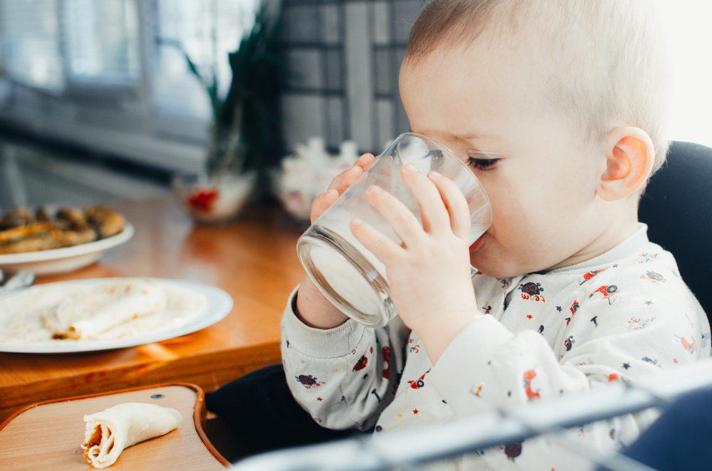 Đạm whey là gì? Hành trình tôi tìm hiểu khi con dị ứng đạm sữa bò