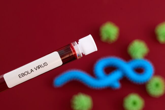 Ebola là bệnh gì? Nguy hiểm thế nào và cẩm nang phòng ngừa virus Ebola